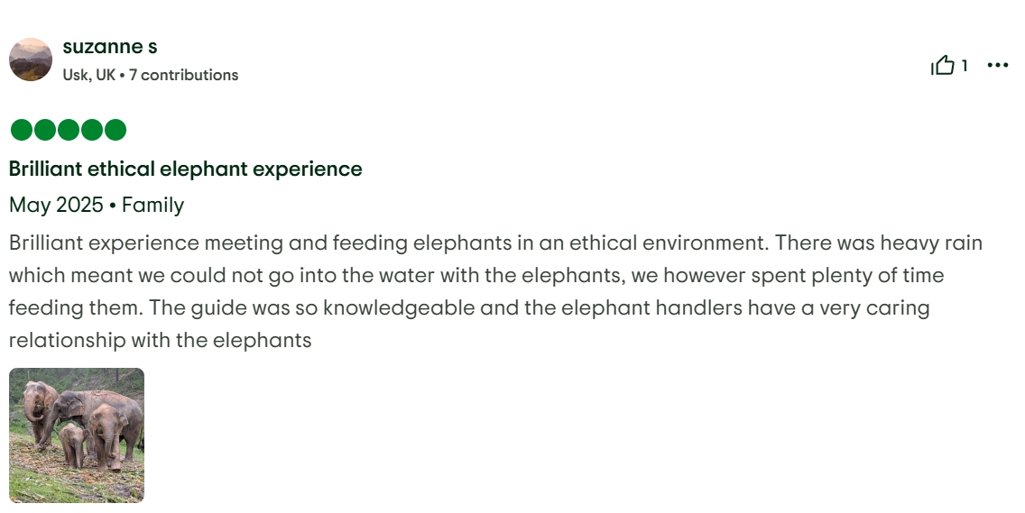 pon elephpant chiangmai thailand reviews